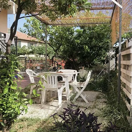 Nice,quiet Into The Green-009034-lt-0420